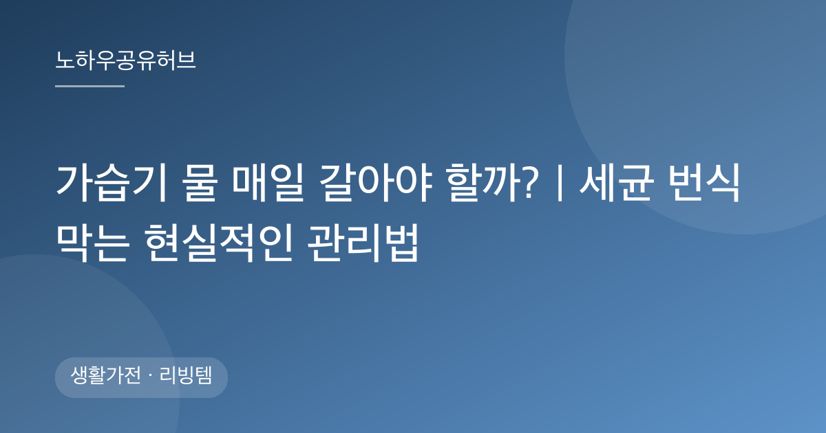 가습기 물 매일 갈아야 할까?｜세균 번식 막는 현실적인 관리법