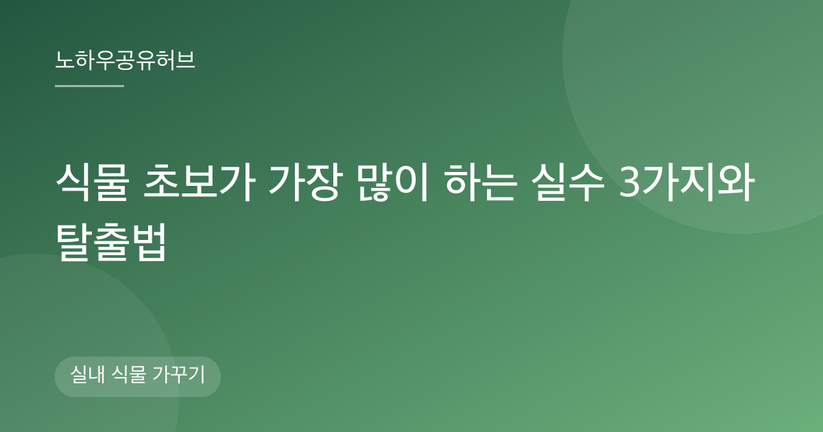 식물 초보가 가장 많이 하는 실수 3가지와 탈출법