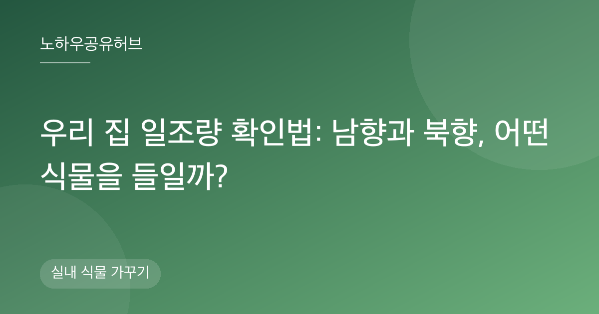 우리 집 일조량 확인법: 남향과 북향, 어떤 식물을 들일까?