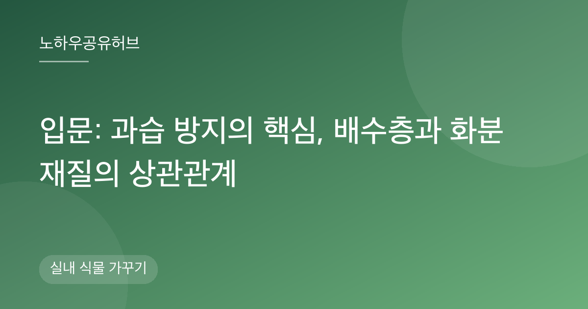 입문: 과습 방지의 핵심, 배수층과 화분 재질의 상관관계