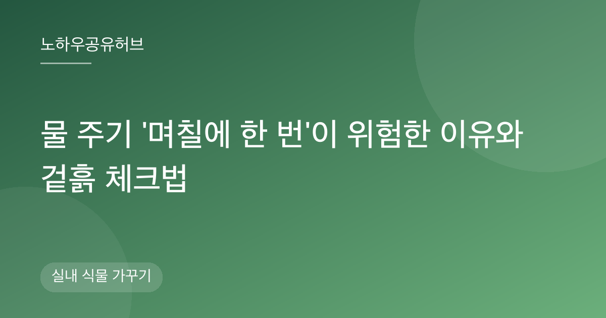 물 주기 '며칠에 한 번'이 위험한 이유와 겉흙 체크법