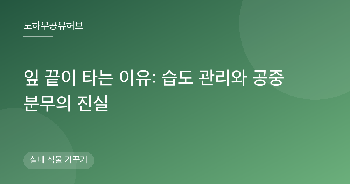 잎 끝이 타는 이유: 습도 관리와 공중 분무의 진실