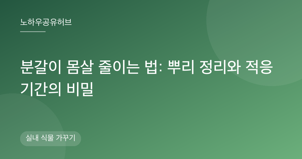 분갈이 몸살 줄이는 법: 뿌리 정리와 적응 기간의 비밀