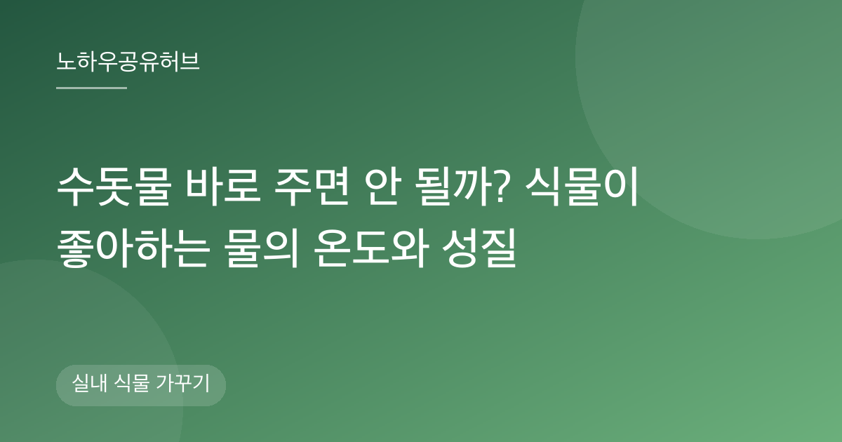 수돗물 바로 주면 안 될까? 식물이 좋아하는 물의 온도와 성질