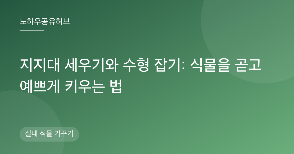 지지대 세우기와 수형 잡기: 식물을 곧고 예쁘게 키우는 법