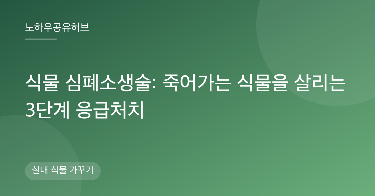 식물 심폐소생술: 죽어가는 식물을 살리는 3단계 응급처치