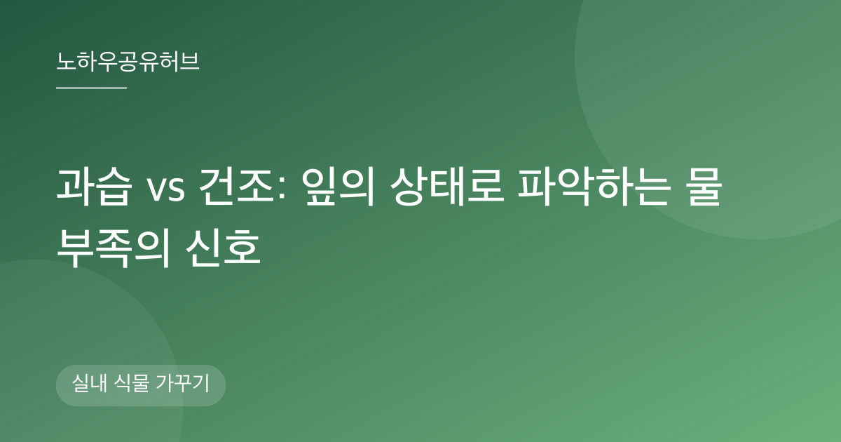 과습 vs 건조: 잎의 상태로 파악하는 물 부족의 신호