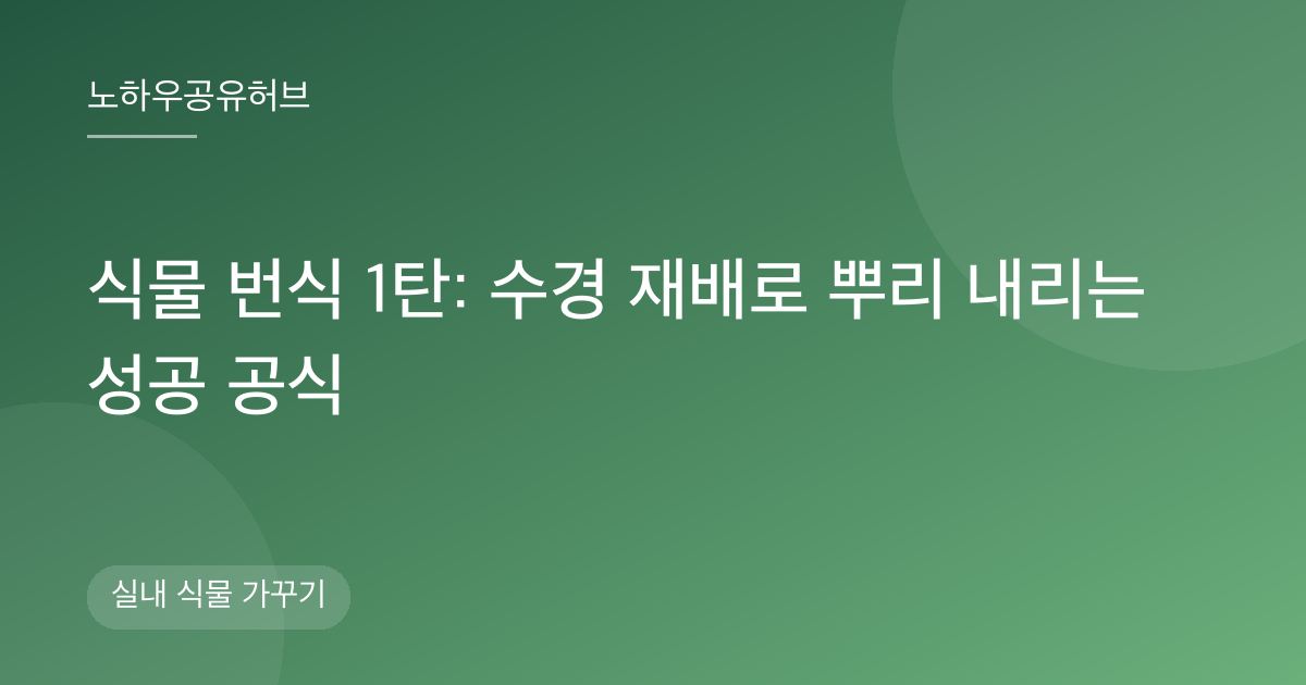 식물 번식 1탄: 수경 재배로 뿌리 내리는 성공 공식