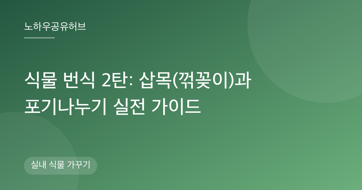 식물 번식 2탄: 삽목(꺾꽂이)과 포기나누기 실전 가이드