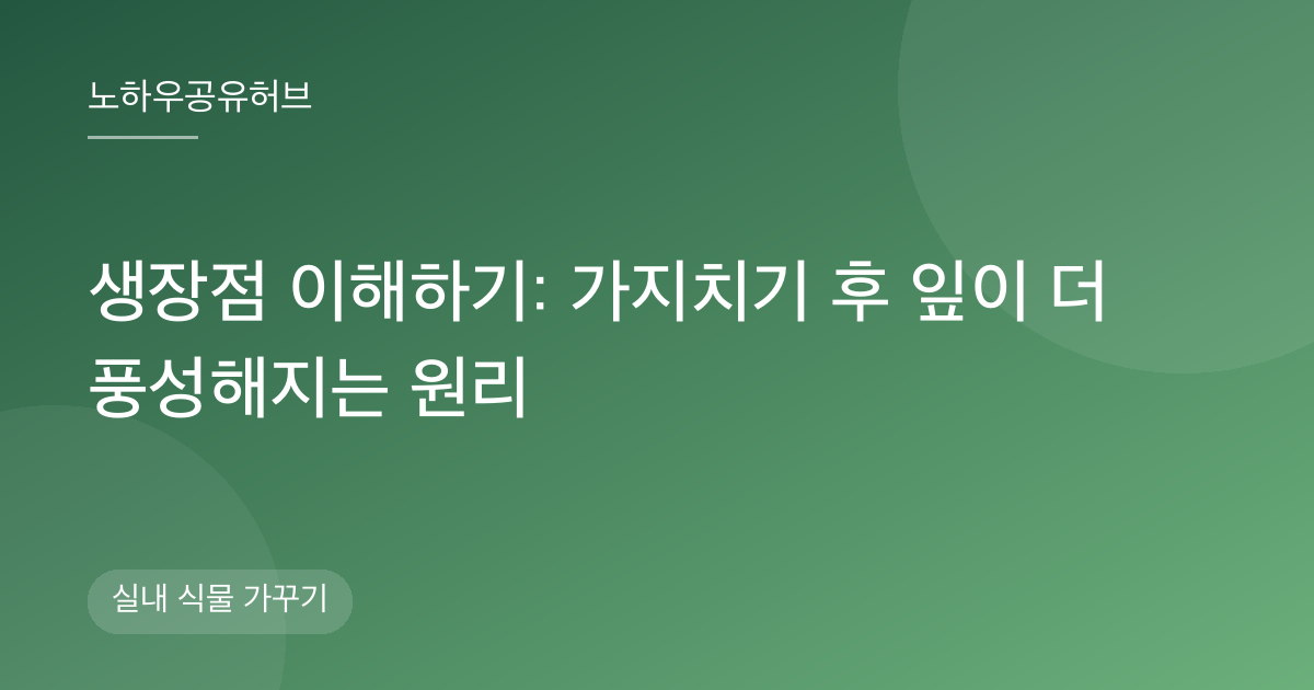 생장점 이해하기: 가지치기 후 잎이 더 풍성해지는 원리