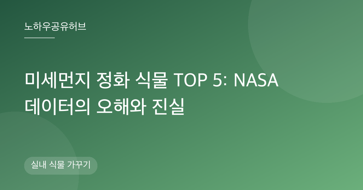 미세먼지 정화 식물 TOP 5: NASA 데이터의 오해와 진실