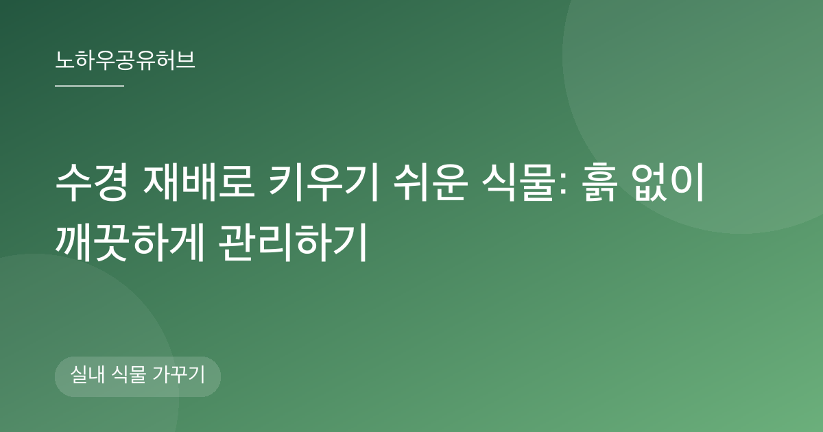 수경 재배로 키우기 쉬운 식물: 흙 없이 깨끗하게 관리하기