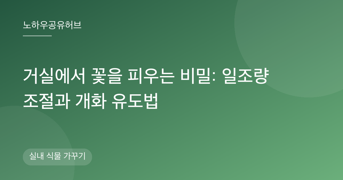 거실에서 꽃을 피우는 비밀: 일조량 조절과 개화 유도법