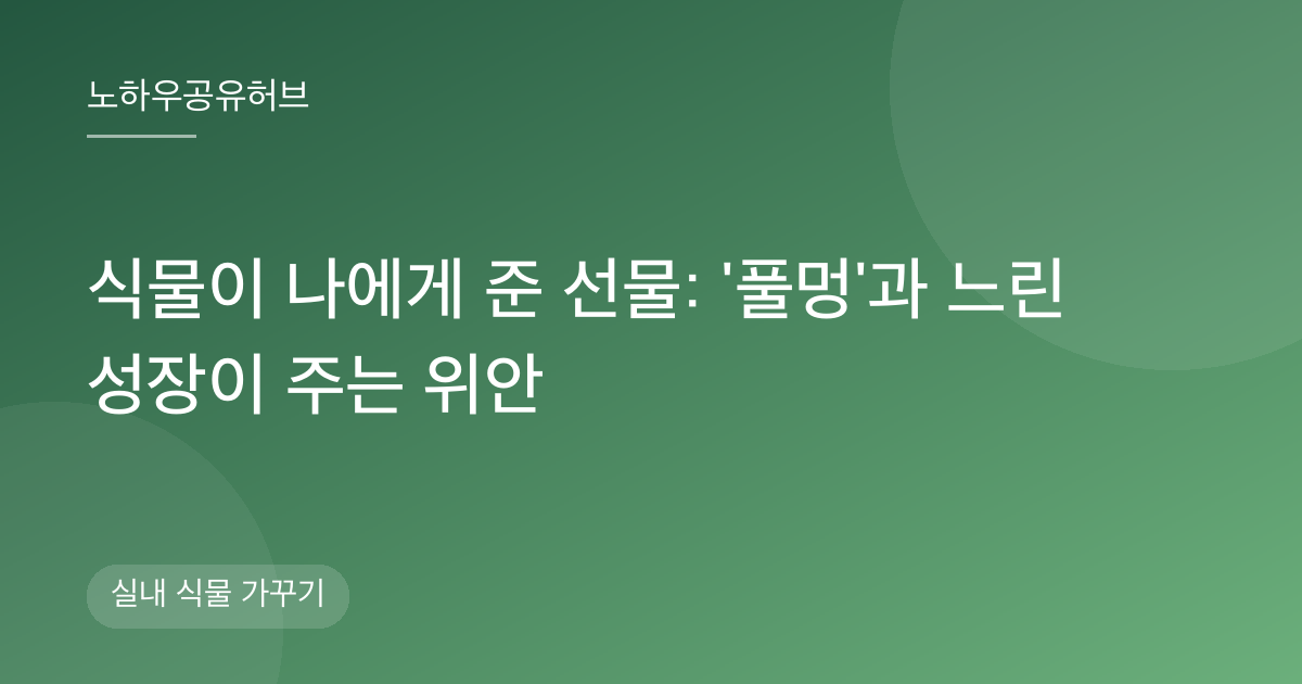 식물이 나에게 준 선물: '풀멍'과 느린 성장이 주는 위안
