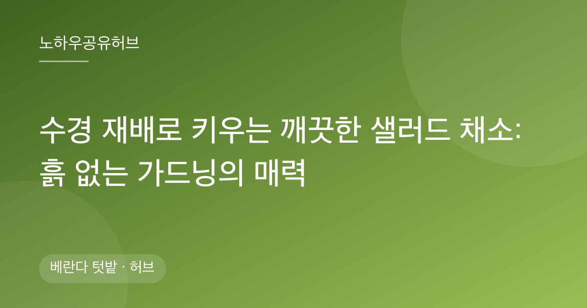 수경 재배로 키우는 깨끗한 샐러드 채소: 흙 없는 가드닝의 매력