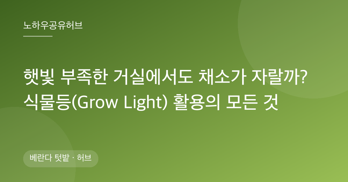 햇빛 부족한 거실에서도 채소가 자랄까? 식물등(Grow Light) 활용의 모든 것