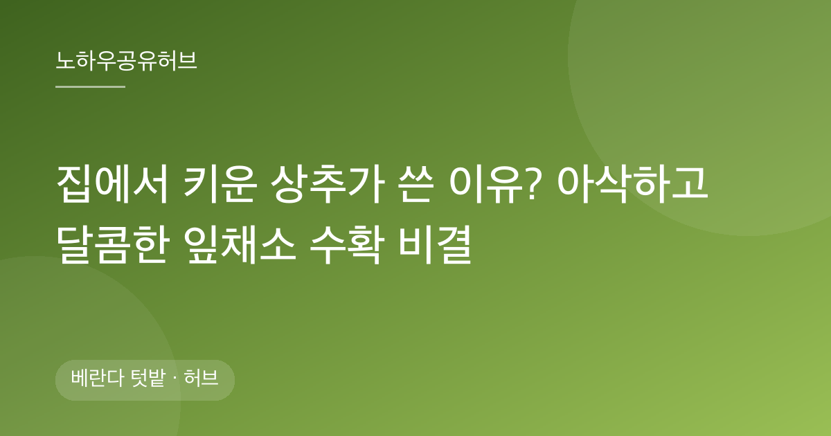 집에서 키운 상추가 쓴 이유? 아삭하고 달콤한 잎채소 수확 비결