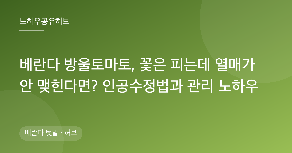 베란다 방울토마토, 꽃은 피는데 열매가 안 맺힌다면? 인공수정법과 관리 노하우