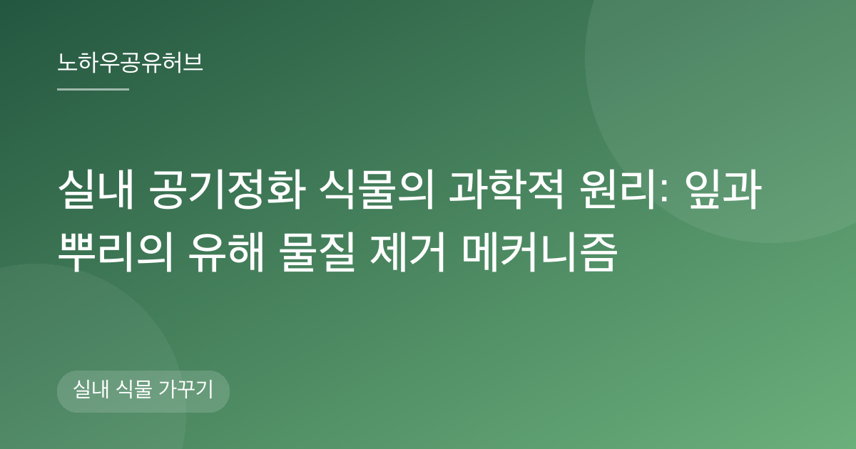 실내 공기정화 식물의 과학적 원리: 잎과 뿌리의 유해 물질 제거 메커니즘