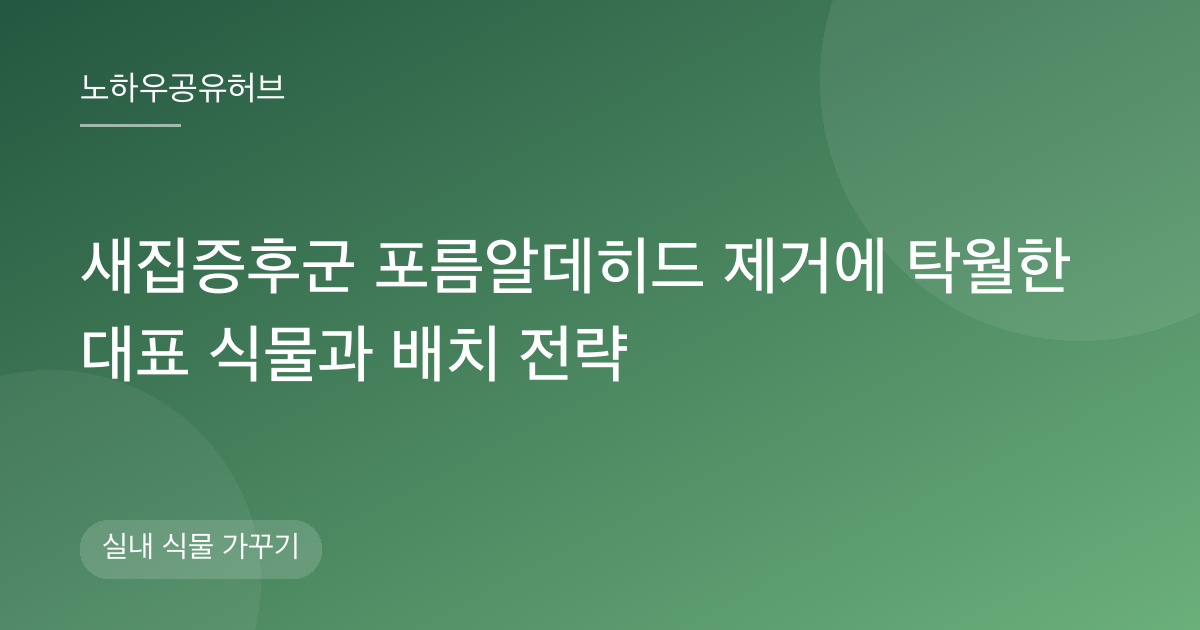 새집증후군 포름알데히드 제거에 탁월한 대표 식물과 배치 전략