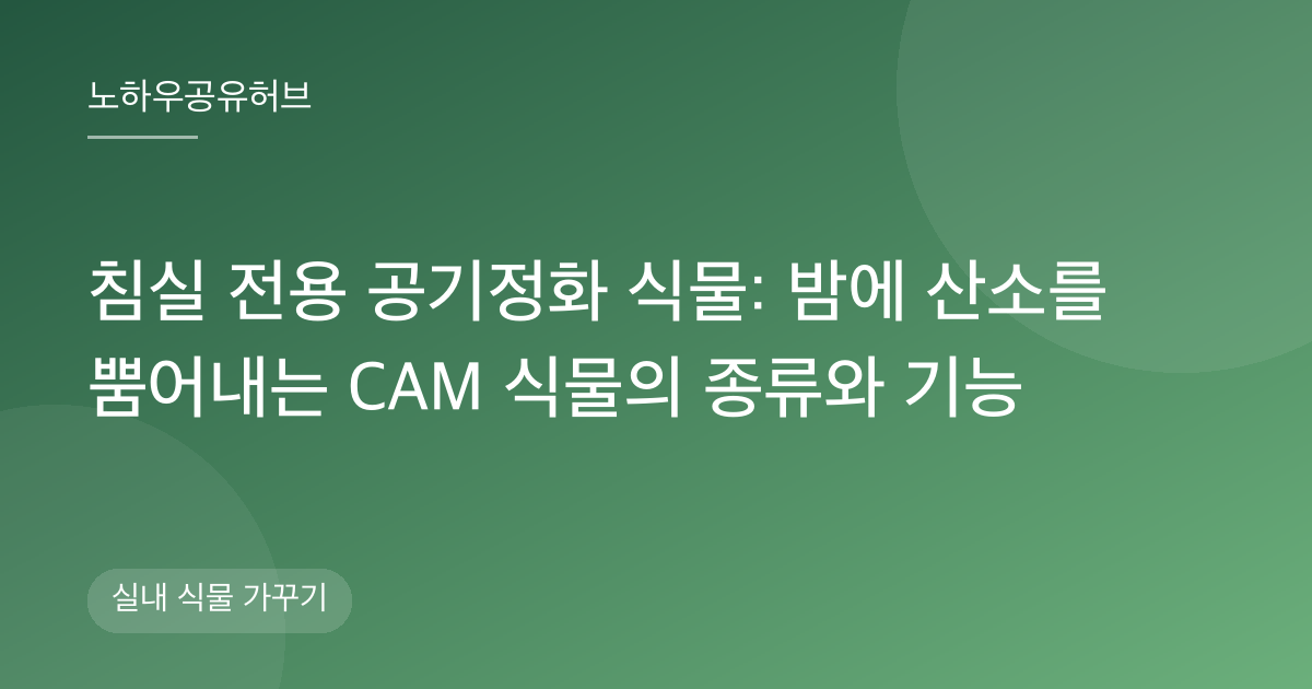 침실 전용 공기정화 식물: 밤에 산소를 뿜어내는 CAM 식물의 종류와 기능