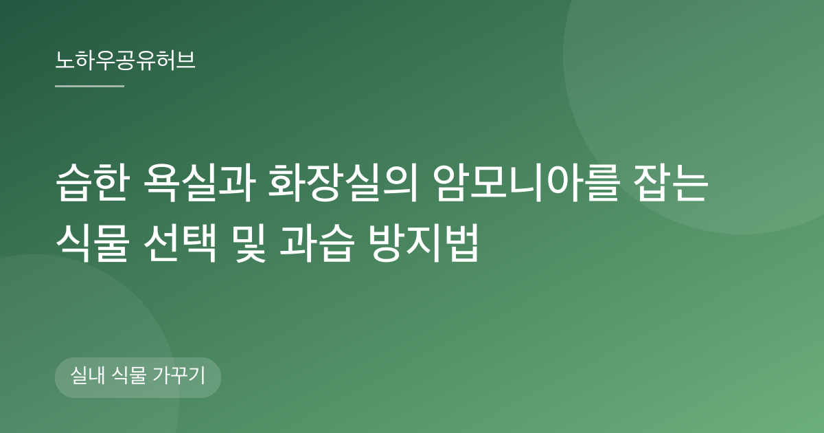 습한 욕실과 화장실의 암모니아를 잡는 식물 선택 및 과습 방지법