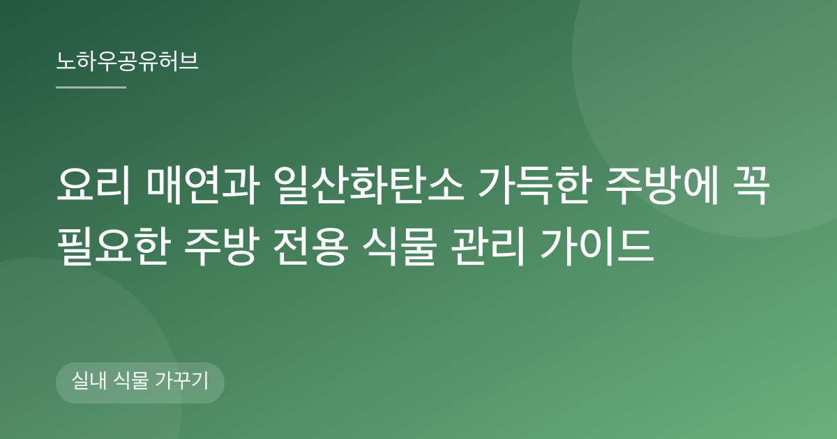 요리 매연과 일산화탄소 가득한 주방에 꼭 필요한 주방 전용 식물 관리 가이드