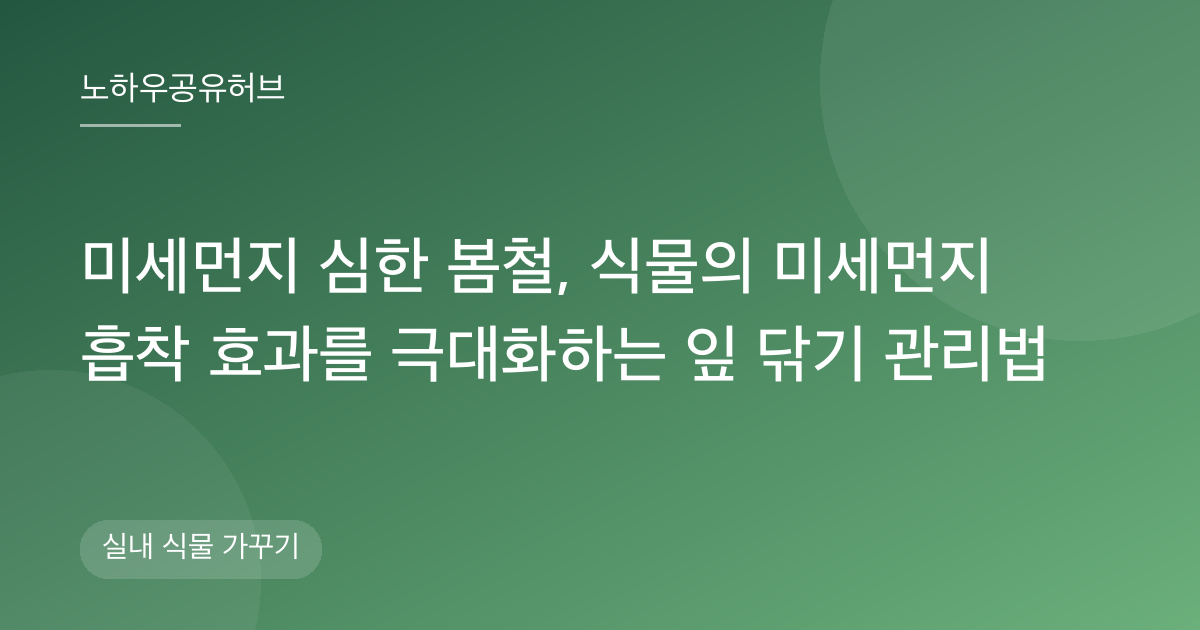 미세먼지 심한 봄철, 식물의 미세먼지 흡착 효과를 극대화하는 잎 닦기 관리법