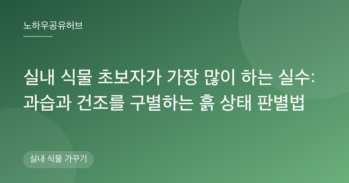 실내 식물 초보자가 가장 많이 하는 실수: 과습과 건조를 구별하는 흙 상태 판별법