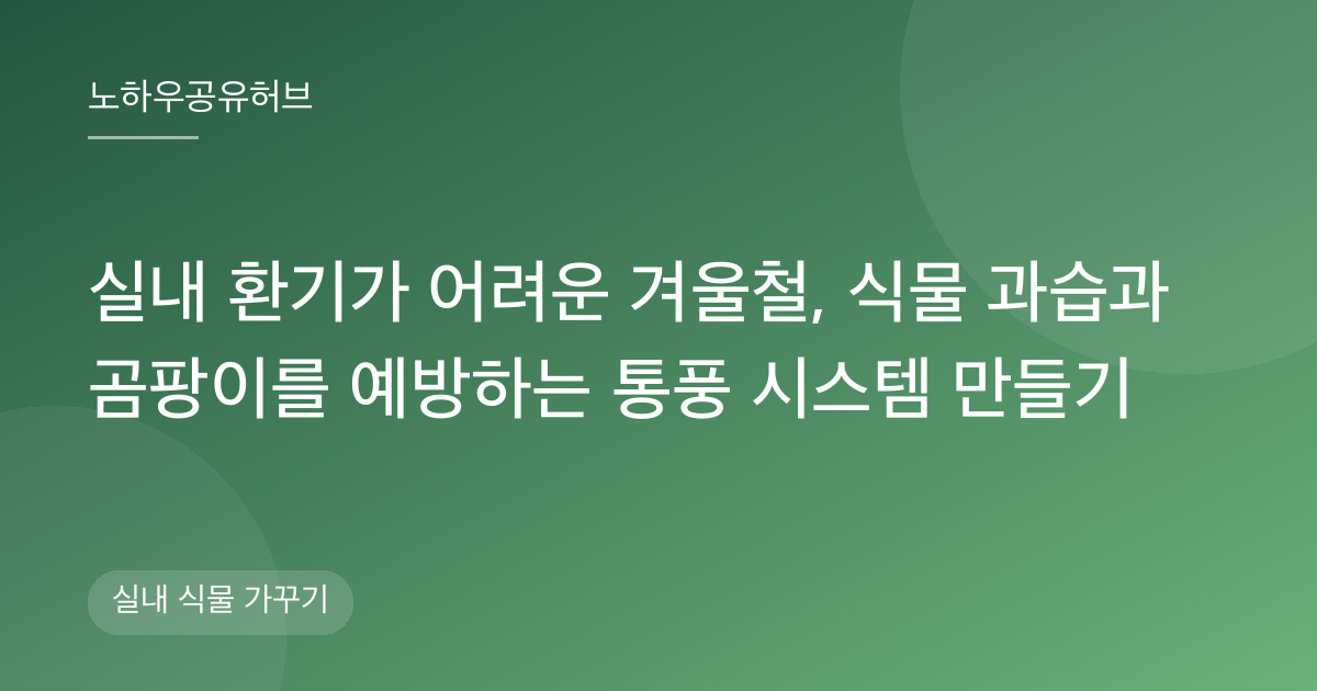 실내 환기가 어려운 겨울철, 식물 과습과 곰팡이를 예방하는 통풍 시스템 만들기