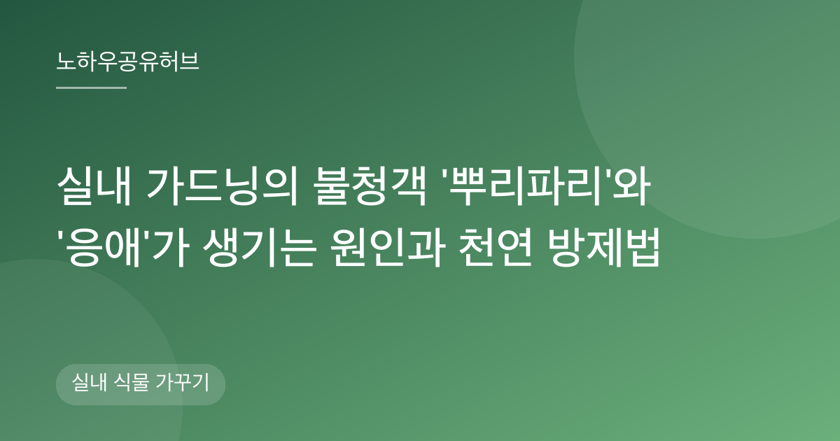 실내 가드닝의 불청객 '뿌리파리'와 '응애'가 생기는 원인과 천연 방제법