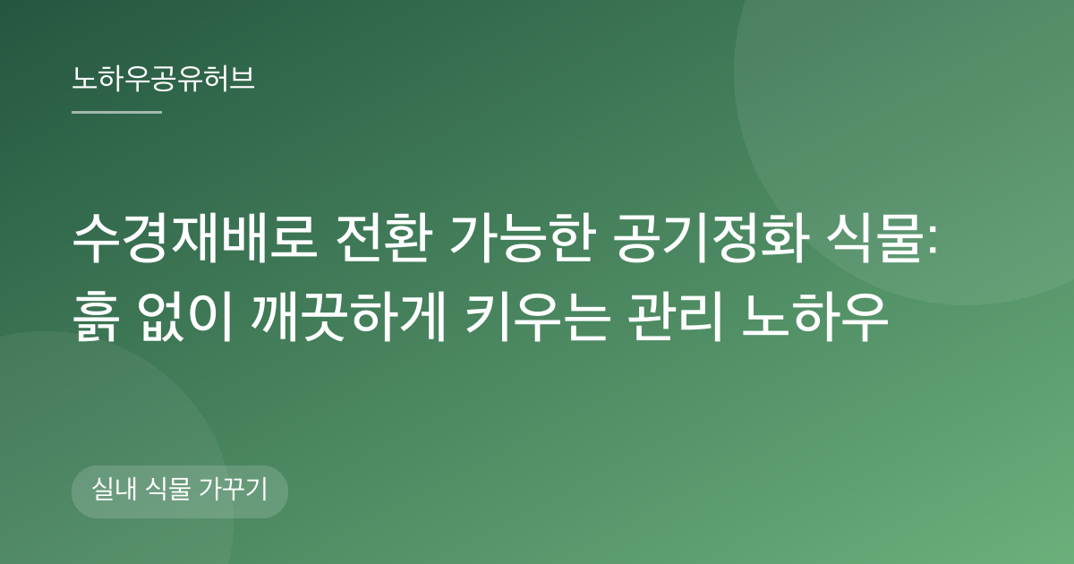 수경재배로 전환 가능한 공기정화 식물: 흙 없이 깨끗하게 키우는 관리 노하우