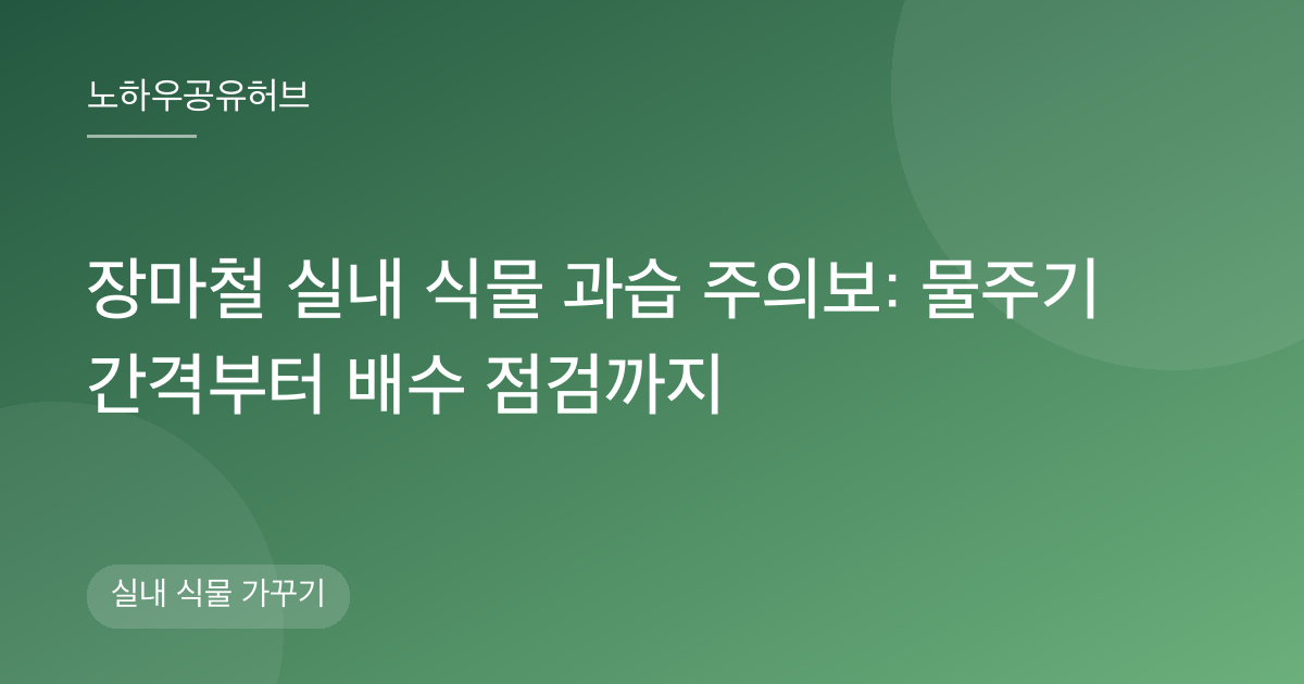 장마철 실내 식물 과습 주의보: 물주기 간격부터 배수 점검까지