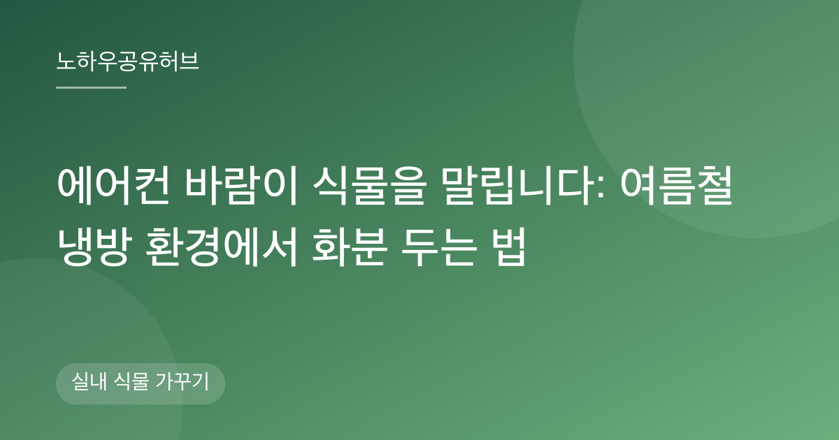 에어컨 바람이 식물을 말립니다: 여름철 냉방 환경에서 화분 두는 법