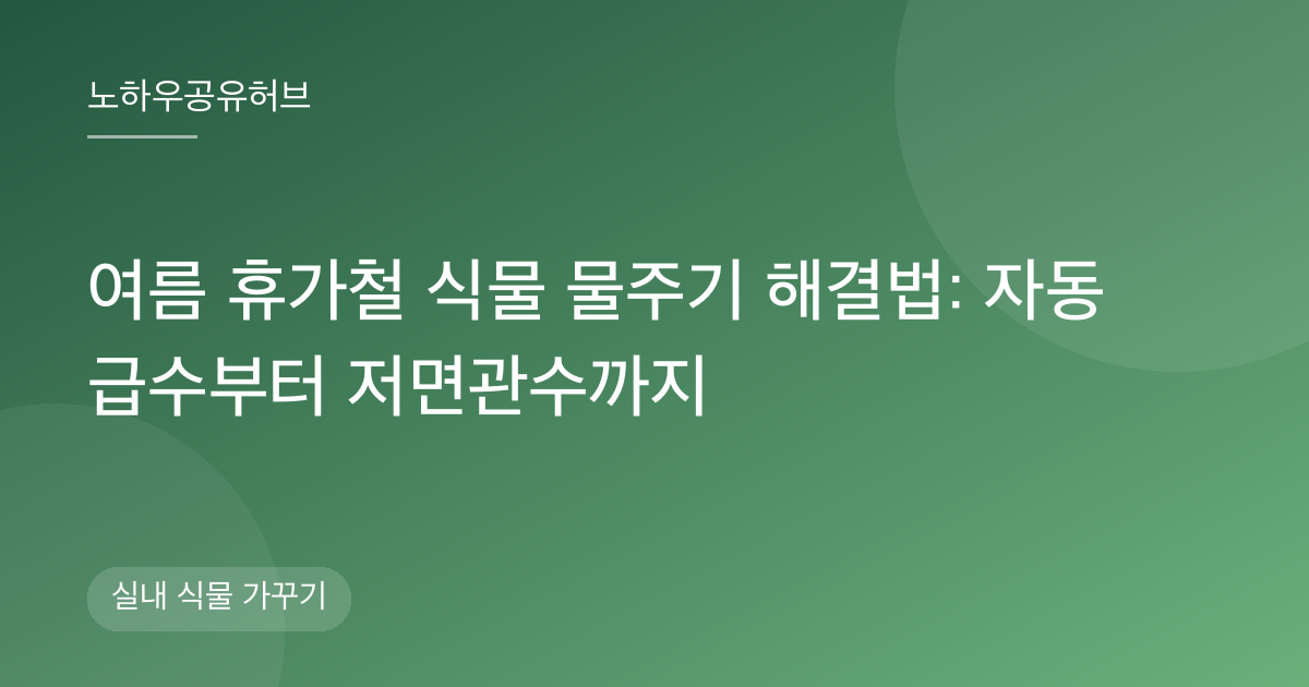 여름 휴가철 식물 물주기 해결법: 자동 급수부터 저면관수까지
