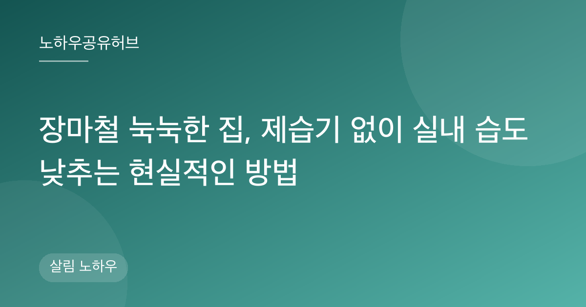 장마철 눅눅한 집, 제습기 없이 실내 습도 낮추는 현실적인 방법
